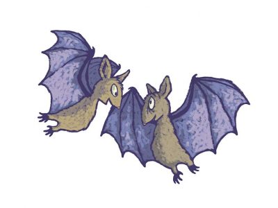 Pregnant bats
